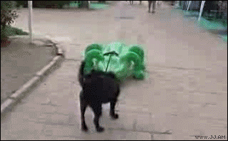 UYXzh9y.gif