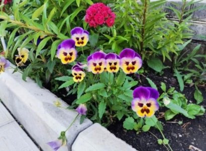 IMG_2873.jpeg
