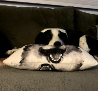 6358d4429ee9f_oddly-satisfying-perfect-fit-pics.jpg