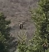 IMG_3787.jpeg