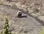 IMG_3792.jpeg