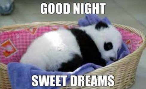 goodnight2.jpg