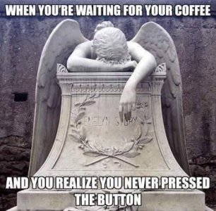 IMG_2921.jpeg