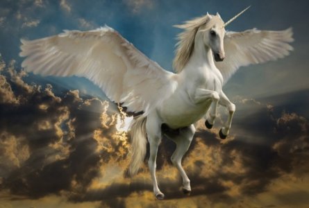 unicorn.jpg