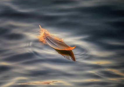 floating-larry-deng.jpg