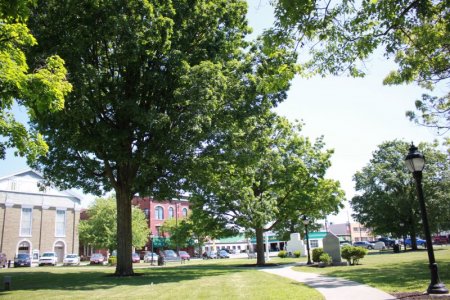 park.JPG