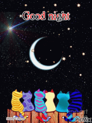 b8aec6a8c66412fc76f991dfc8d004a5[1].gif