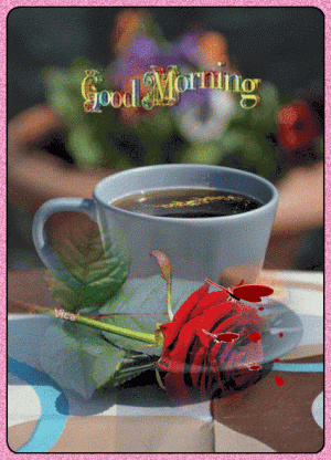 a4452c9bfe28ea98b2fdc8f433095993[1].gif