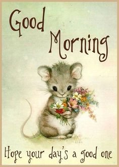 morning.jpg