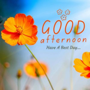 good-afternoon-pictures-mat1qkdx6wsnsjp7.jpg