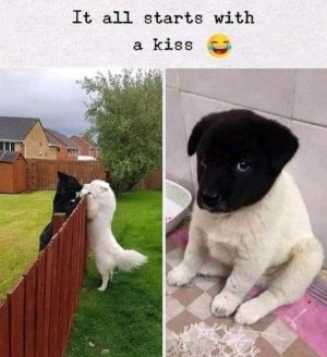 kiss.jpg