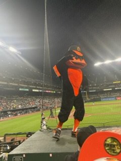 IMG_1196.jpeg