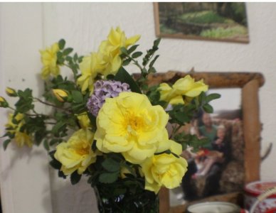 roses.jpg