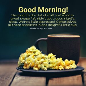 Beautiful-Flowers-and-beautiful-good-morning-coffee-images-for-you.jpg