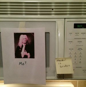 IMG_3008.jpeg