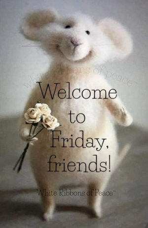 friday friends.jpg