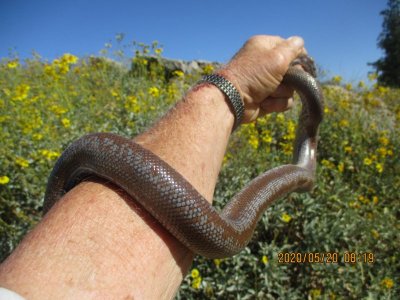 IMG_1998.JPG