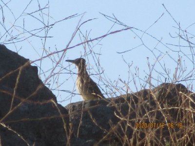 IMG_2550.JPG