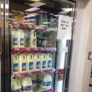 IMG_3004.jpeg