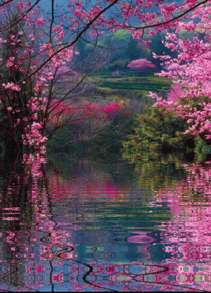 e20213ea25cd9ae709bd394f3c4823cd.gif