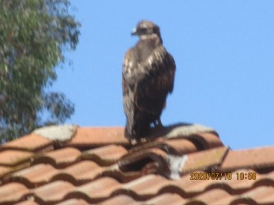 IMG_2640.JPG