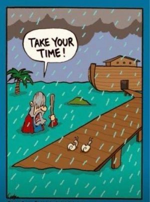 5d3240a75a2de17f63db71da3c82cb26--funny-christian-noah.jpg