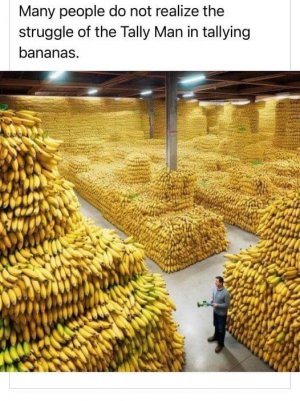 IMG_3053.jpeg