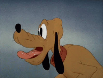 sala.gif
