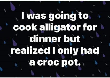 CROCKPOT.jpg