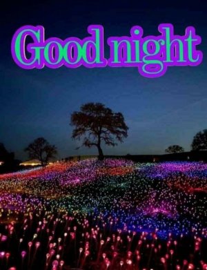 A159166C-0196-4E46-A112-C81B3C6357BA.jpeg