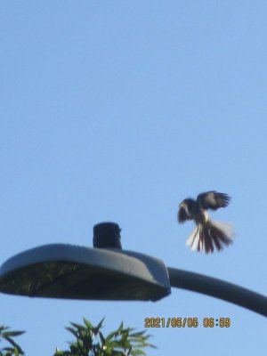 IMG_8174.JPG