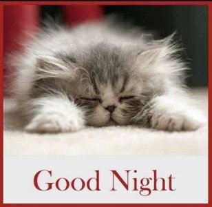 5d9b99a7afe912bd7858027bcc49b171[1].jpg