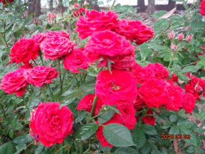 DSC01102.JPG