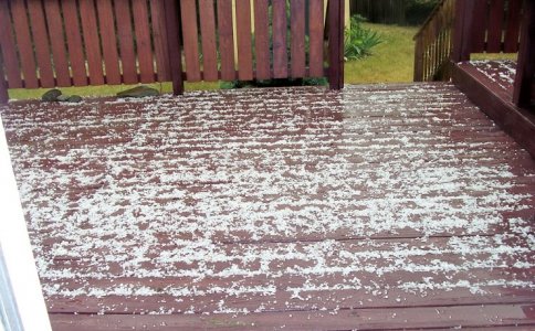 hail3 6-6-23.jpg