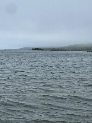 IMG_9815.jpeg
