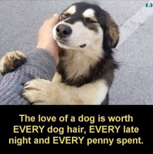 love.jpg