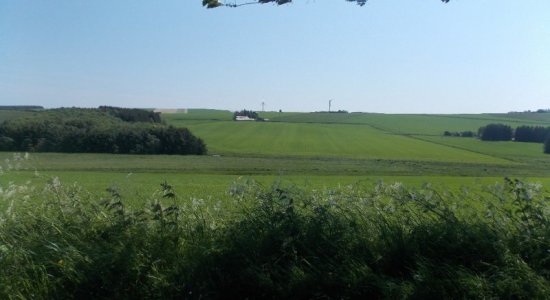 green2.jpg