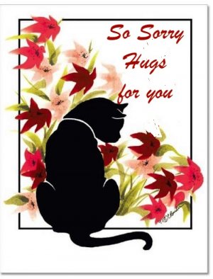 cat sympathy..jpg