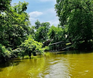 IMG_2984.jpeg IMG_2984.jpeg