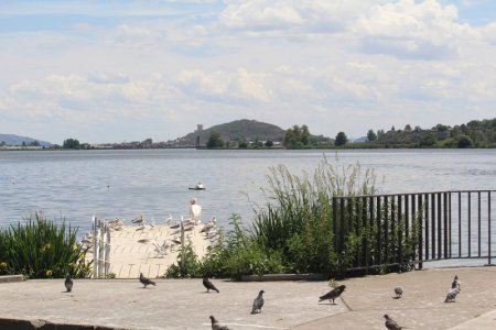 on the lake.jpg