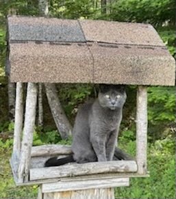 IMG_1465.jpeg