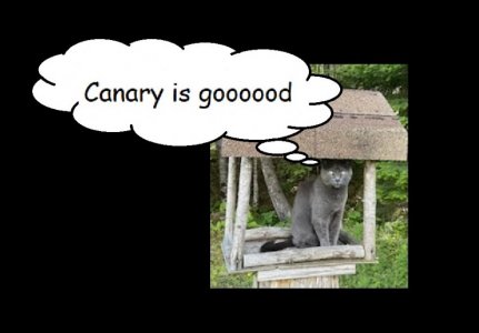 canary.jpg