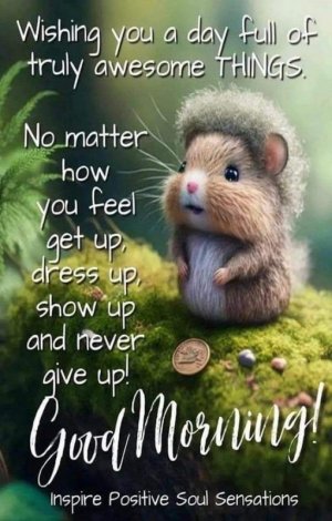 18ba1c3b1a3c4b378e071e09fc99a24f[1].jpg