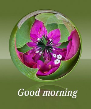 149e86868116e3a9cf9b0dc380ea8f90.jpg
