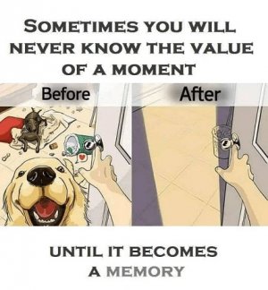 moment.jpg