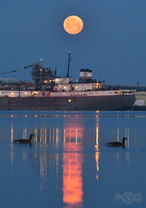 IMG_3156.jpeg