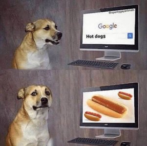 Hot Dogs.JPG