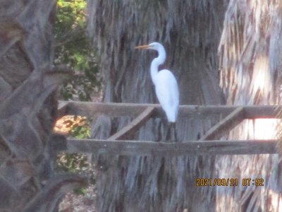 IMG_9394.JPG