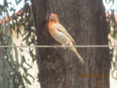 IMG_8183.JPG