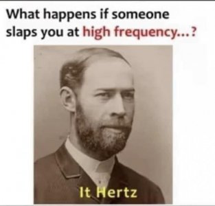 352231639_695403655726001_2288416858591223700_n.jpg